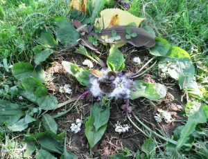 I sat in the grass and I materials that were within reach