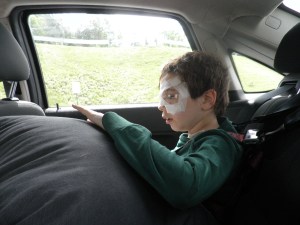 Boo with his new grey pillow