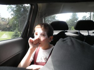 he likes the big pillow I got for the back of the car