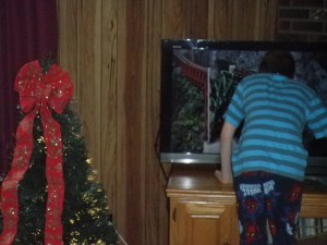 When Jonah loves a particular scene in a movie or show, he'll run up to the TV with a happy screech