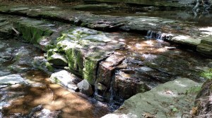 IMG_20150522_111859713