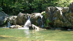 IMG_20150808_123256423